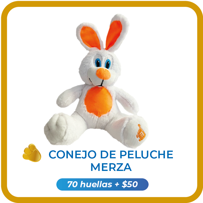 Premio Oro